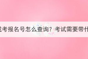 湖北成考报名号怎么查询？考试需要带什么？