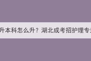 护理大专升本科怎么升？湖北成考招护理专升本吗？