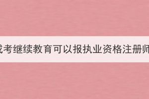 湖北成考继续教育可以报执业资格注册师吗？