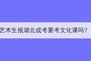 艺术生报湖北成考要考文化课吗？