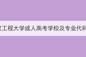 2023年武汉工程大学成人高考学校及专业代码是多少？