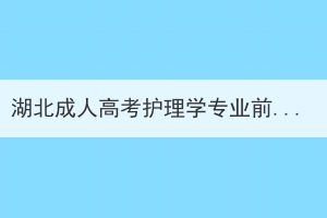 湖北成人高考护理学专业前景怎么样？