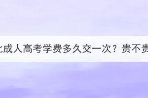 湖北成人高考学费多久交一次？贵不贵？