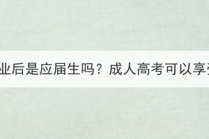 湖北成考专升本毕业后是应届生吗？成人高考可以享受应届生政策吗？