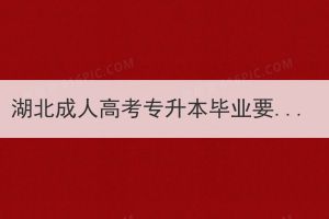 湖北成人高考专升本毕业要过英语四级吗？