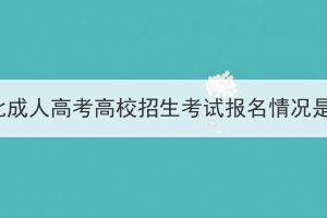 2023年湖北成人高考高校招生考试报名情况是什么样？