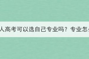 湖北成人高考可以选自己专业吗？专业怎么选？