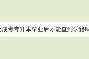 湖北成考专升本毕业后才能查到学籍吗？