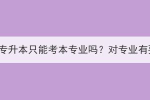 湖北成考专升本只能考本专业吗？对专业有要求吗？