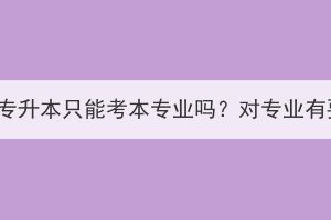 湖北成考专升本只能考本专业吗？对专业有要求吗？