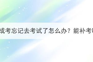 湖北成考忘记去考试了怎么办？能补考吗？