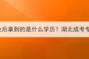 湖北成考专升本毕业后拿到的是什么学历？湖北成考专升本学历有用吗？