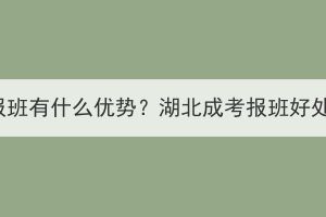 湖北成考报班有什么优势？湖北成考报班好处有哪些？