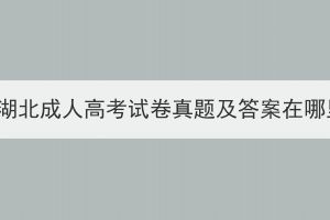 2023年湖北成人高考试卷真题及答案在哪里找？