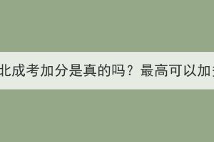 2023年湖北成考加分是真的吗？最高可以加多少分？