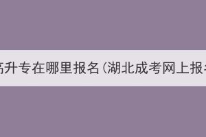 湖北成考高升专在哪里报名(湖北成考网上报名官网)？