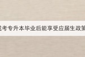 湖北成考专升本毕业后能享受应届生政策吗？