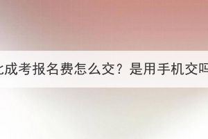 湖北成考报名费怎么交？是用手机交吗？