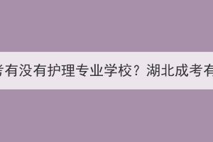 湖北成考有没有护理专业学校？湖北成考有用吗？