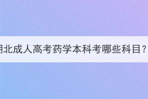 湖北成人高考药学本科考哪些科目？