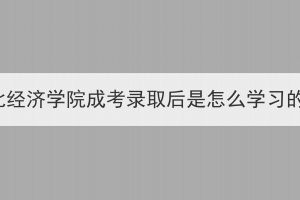 湖北经济学院成考录取后是怎么学习的？