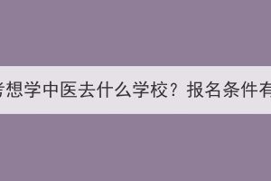 湖北成考想学中医去什么学校？报名条件有哪些？